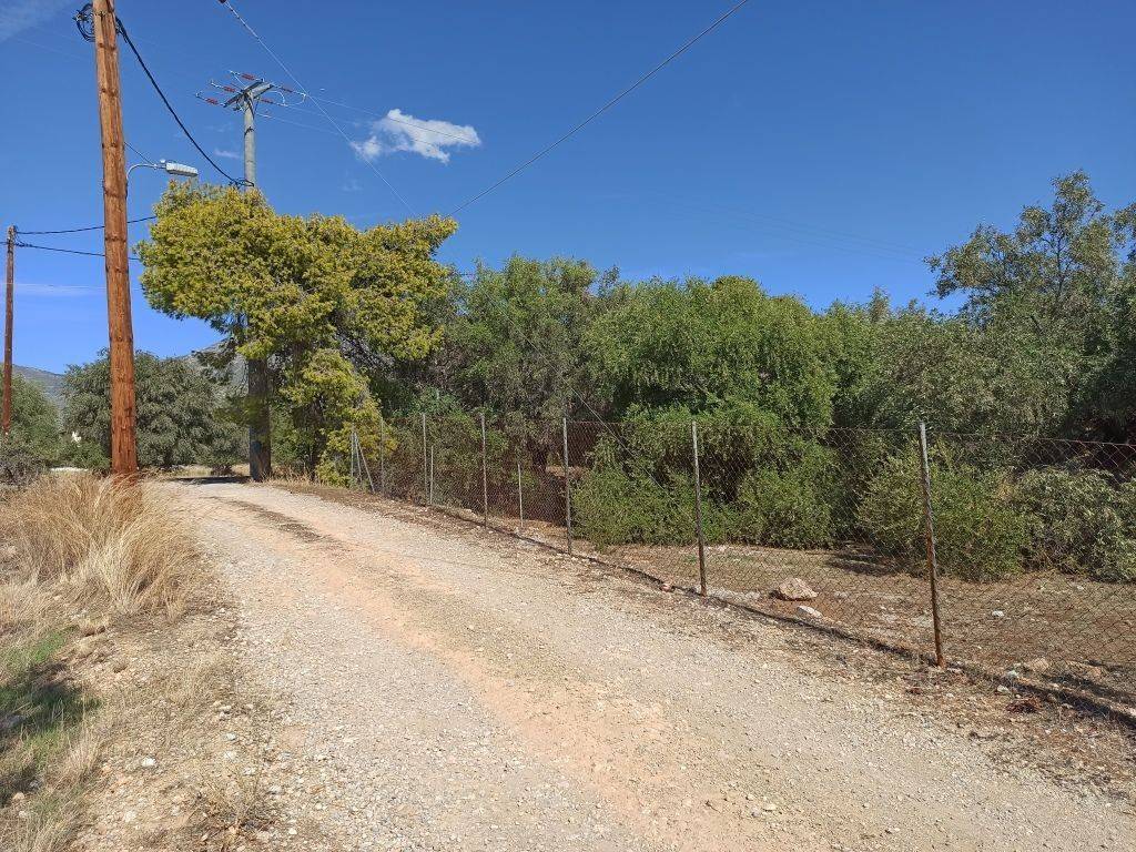 PROSOPSE 21 m. SE DROMO PLATOYS 5 m.