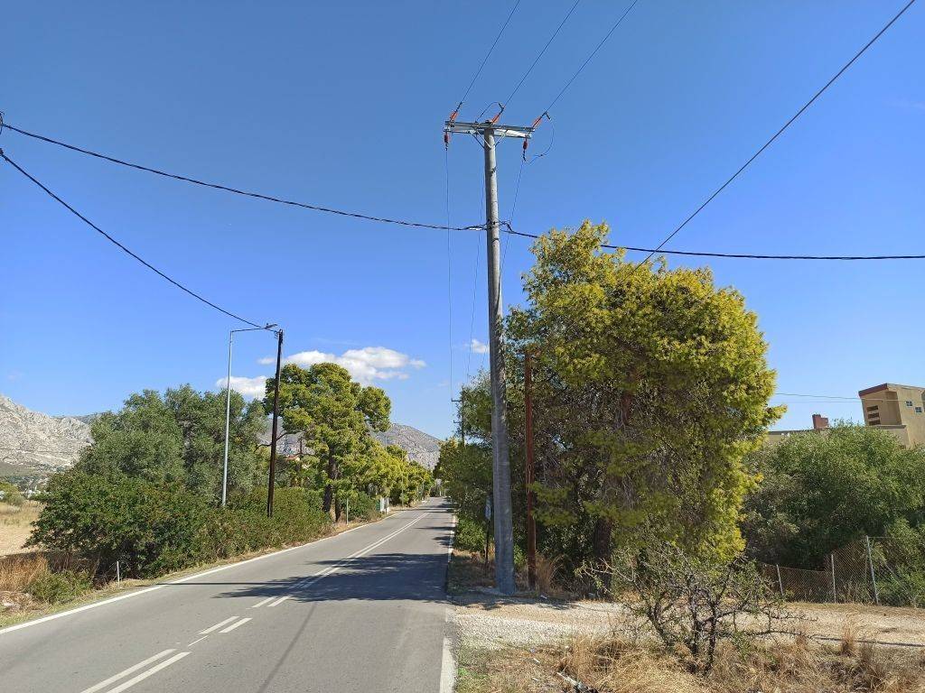 PROSOPSE 25 m. EPI TES PALAIAS ETHNIKES ODOY