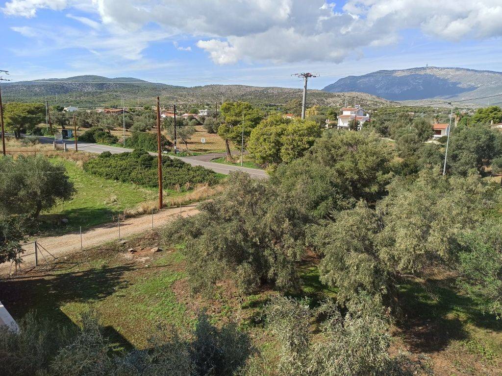 TO OIKOPEDO EMBADOY546 t .m.