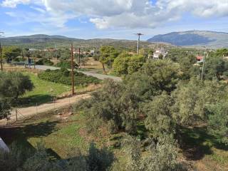 TO OIKOPEDO EMBADOY546 t .m.