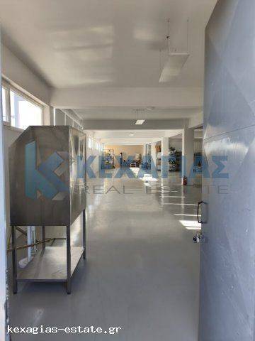 ΕΣΩΤΕΡΙΚΗ ΛΗΨΗ