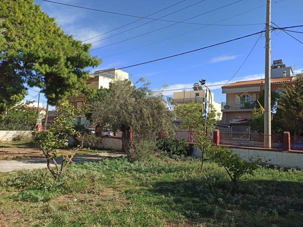 ΤΜΗΜΑ ΤΟΥ ΟΙΚΟΠΕΔΟΥ