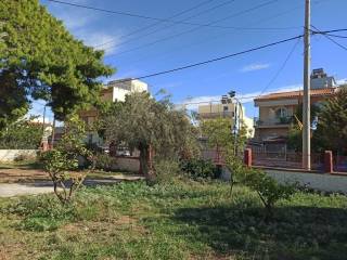 ΤΜΗΜΑ ΤΟΥ ΟΙΚΟΠΕΔΟΥ