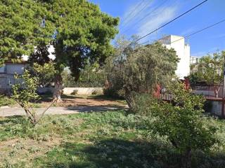 ΤΜΗΜΑ ΤΟΥ ΟΙΚΟΠΕΔΟΥ