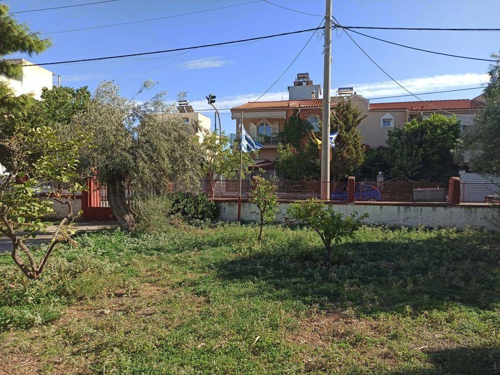 ΤΜΗΜΑ ΤΟΥ ΟΙΚΟΠΕΔΟΥ