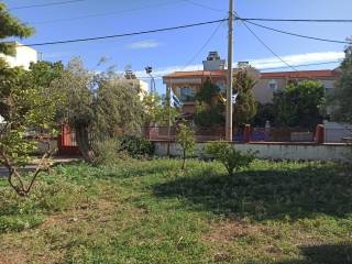 ΤΜΗΜΑ ΤΟΥ ΟΙΚΟΠΕΔΟΥ