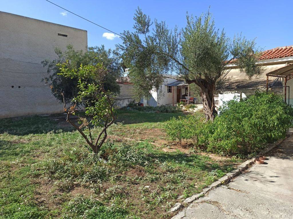 ΤΜΗΜΑ ΤΟΥ ΟΙΚΟΠΕΔΟΥ ΚΑΙ ΤΩΝ ΚΤΙΣΜΑΤΩΝ