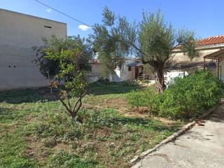 ΤΜΗΜΑ ΤΟΥ ΟΙΚΟΠΕΔΟΥ ΚΑΙ ΤΩΝ ΚΤΙΣΜΑΤΩΝ