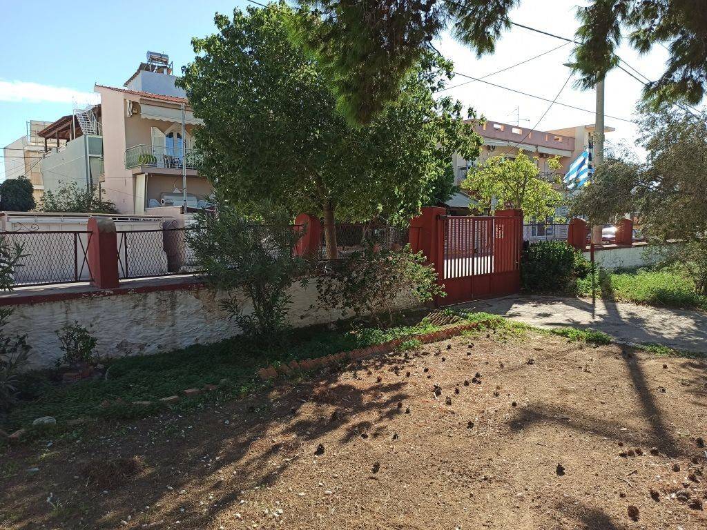 ΤΜΗΜΑ ΤΟΥ ΟΙΚΟΠΕΔΟΥ