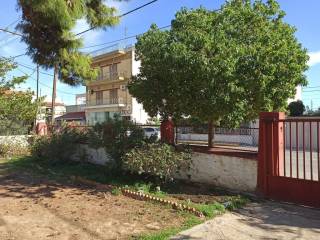 ΤΜΗΜΑ ΤΟΥ ΟΙΚΟΠΕΔΟΥ