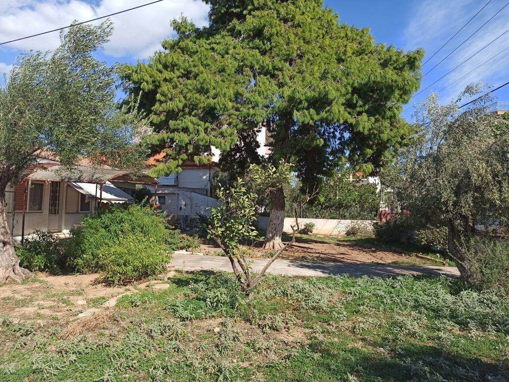 ΤΜΗΜΑ ΤΟΥ ΟΙΚΟΠΕΔΟΥ ΚΑΙ ΤΩΝ ΚΤΙΣΜΑΤΩΝ