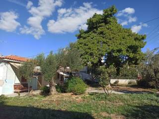 ΤΜΗΜΑ ΤΟΥ ΟΙΚΟΠΕΔΟΥ ΚΑΙ ΤΩΝ ΚΤΙΣΜΑΤΩΝ