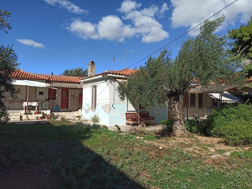 ΤΜΗΜΑ ΤΟΥ ΟΙΚΟΠΕΔΟΥ ΚΑΙ ΤΩΝ ΚΤΙΣΜΑΤΩΝ