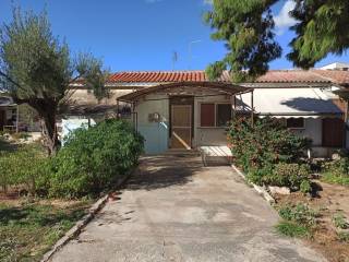 ΤΜΗΜΑ ΤΟΥ ΟΙΚΟΠΕΔΟΥ ΚΑΙ ΤΩΝ ΚΤΙΣΜΑΤΩΝ