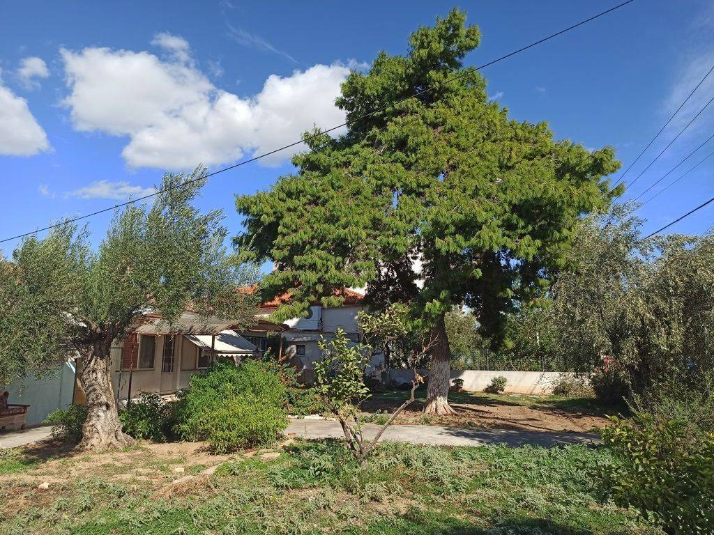 ΤΜΗΜΑ ΤΟΥ ΟΙΚΟΠΕΔΟΥ ΚΑΙ ΤΩΝ ΚΤΙΣΜΑΤΩΝ