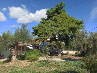 ΤΜΗΜΑ ΤΟΥ ΟΙΚΟΠΕΔΟΥ ΚΑΙ ΤΩΝ ΚΤΙΣΜΑΤΩΝ