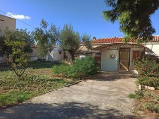 ΤΜΗΜΑ ΤΟΥ ΟΙΚΟΠΕΔΟΥ ΚΑΙ ΤΩΝ ΚΤΙΣΜΑΤΩΝ