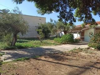 ΤΜΗΜΑ ΤΟΥ ΟΙΚΟΠΕΔΟΥ ΚΑΙ ΤΩΝ ΚΤΙΣΜΑΤΩΝ