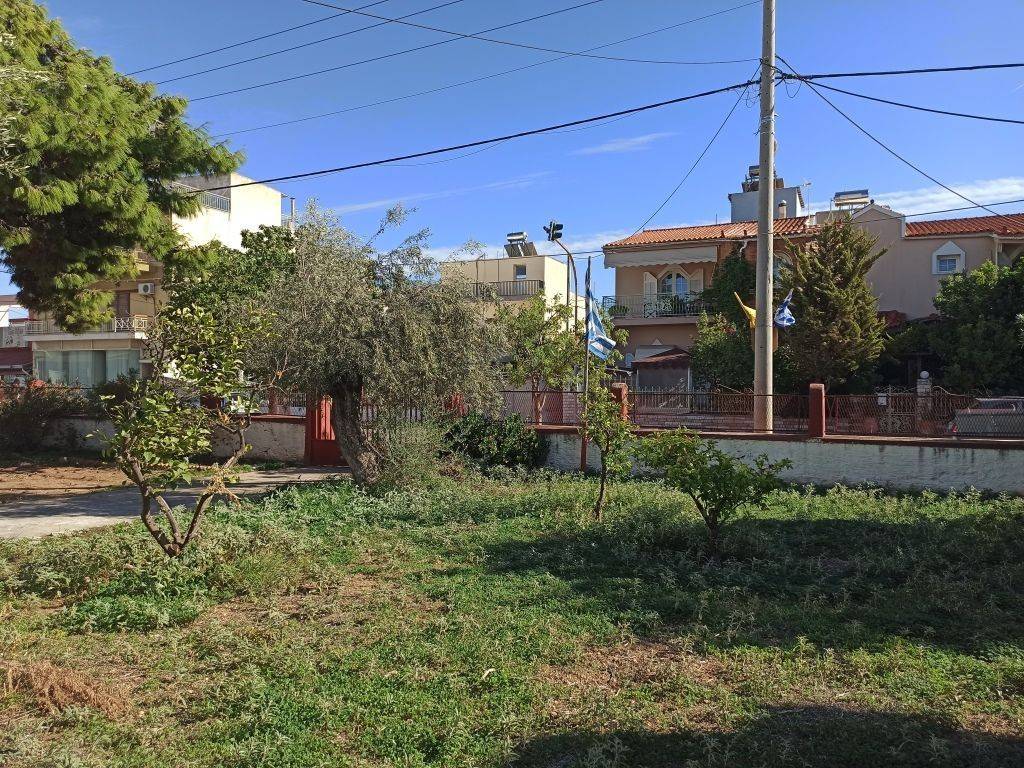 ΤΜΗΜΑ ΤΟΥ ΟΙΚΟΠΕΔΟΥ