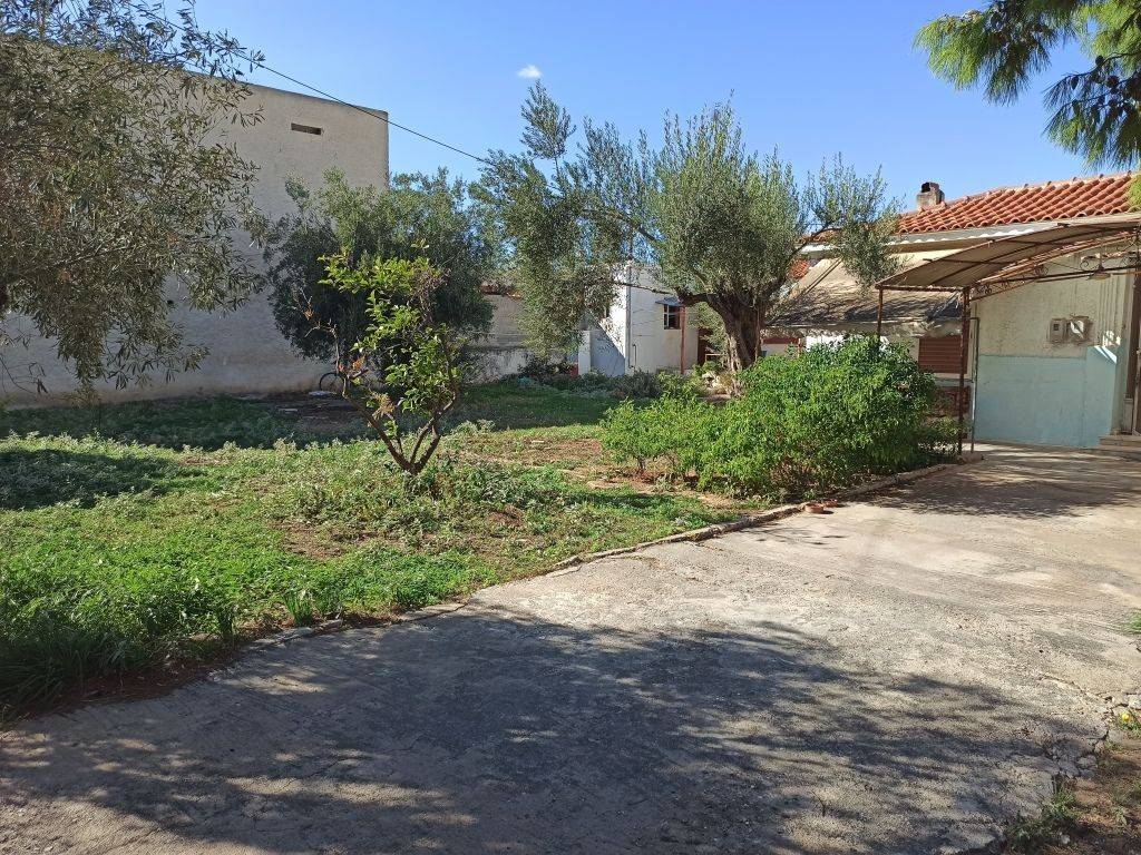 TMEMA TOY OIKOPEDOY KAI TON KTISMATON