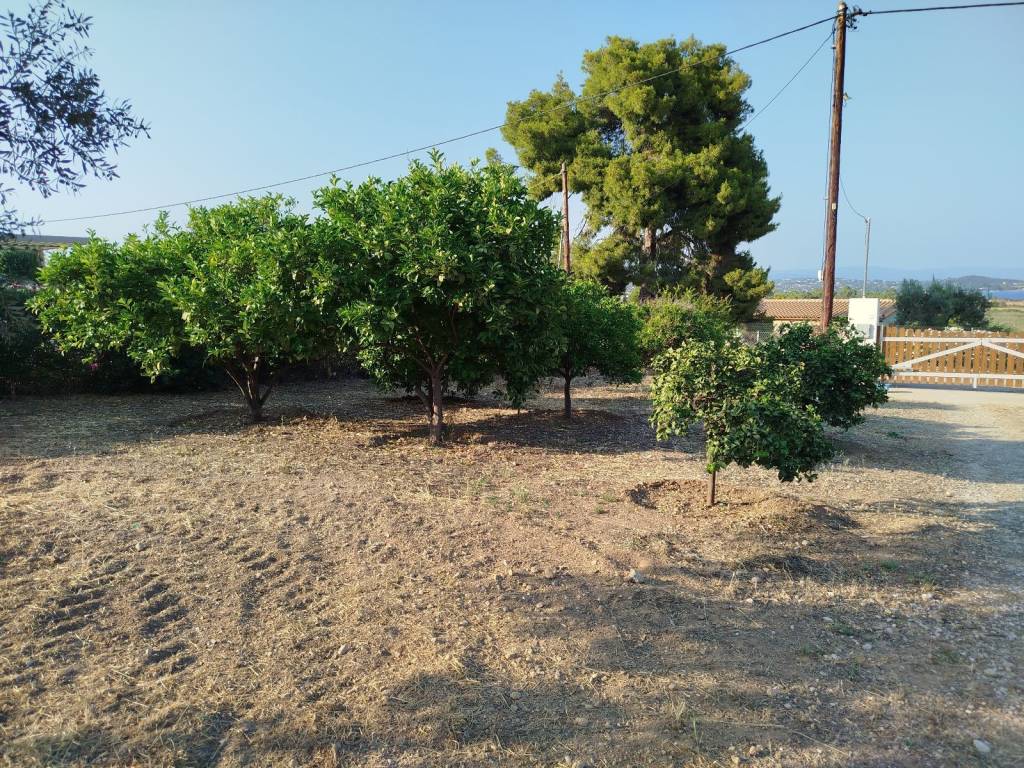 Automatic Gate - Garden