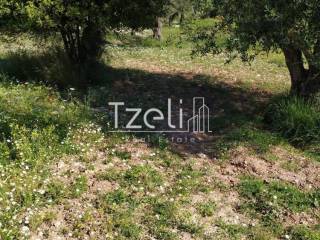 Άποψη οικοπέδου