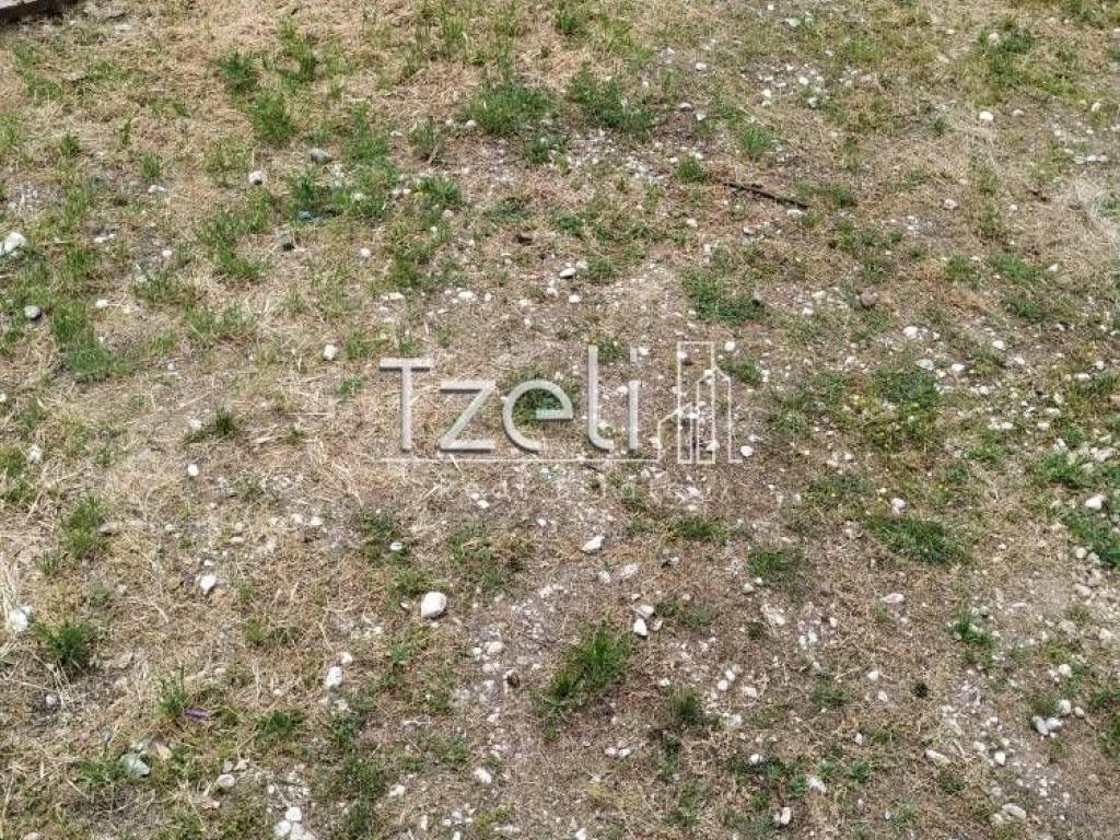 Άποψη οικοπέδου