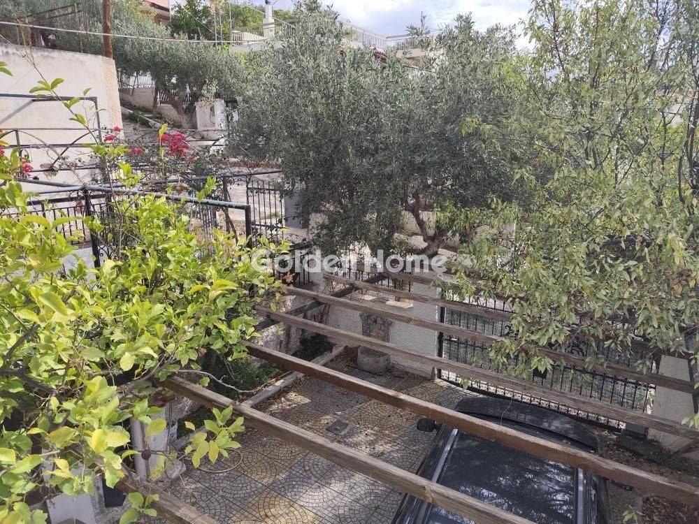 Εξωτερικός Χώρος