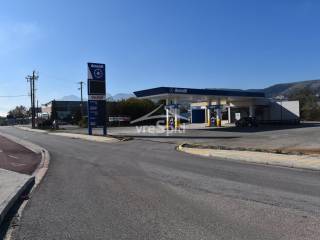 APOPSE AGROTEMACHIOY