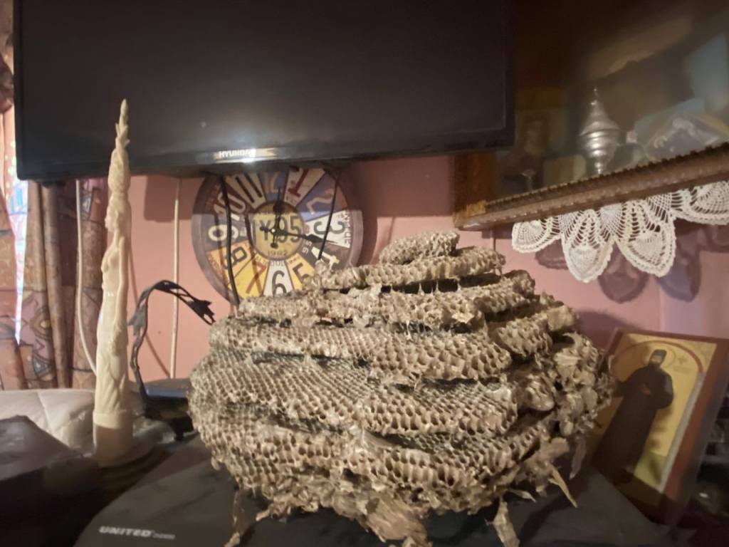 Εσωτερικοι χώροι