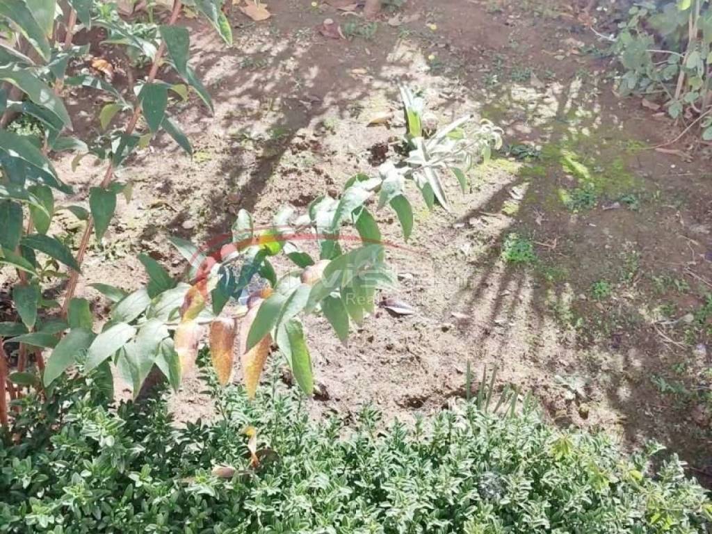 Ύπαρξη ανθρώπου