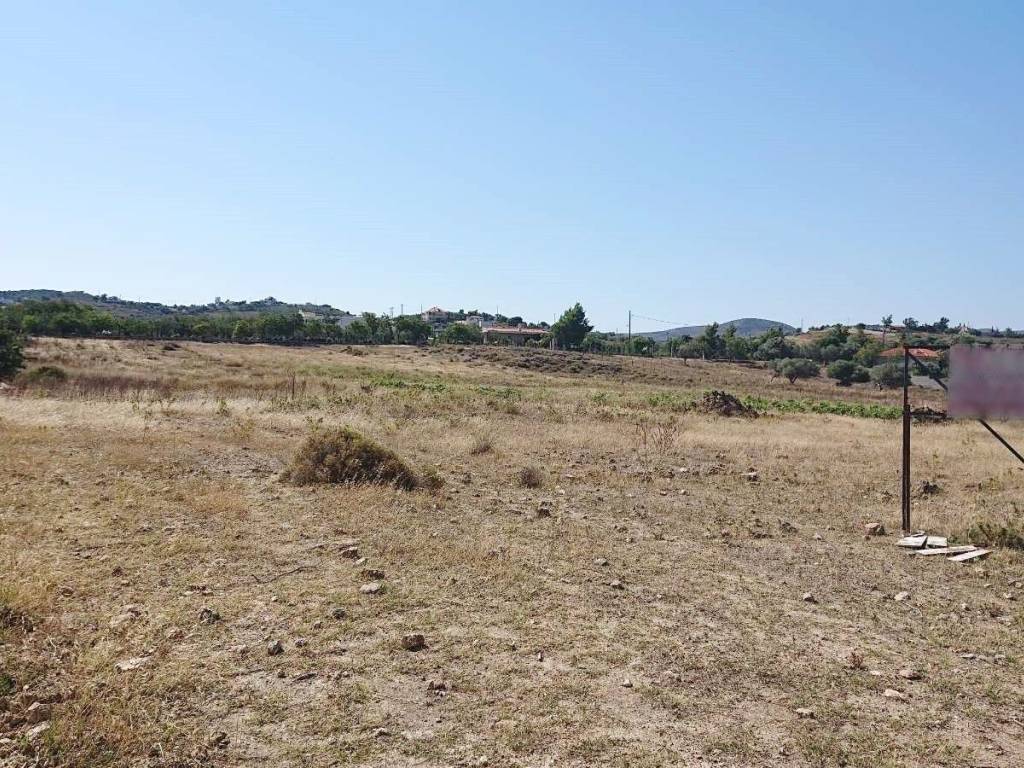 Εξωτερικοι χώροι