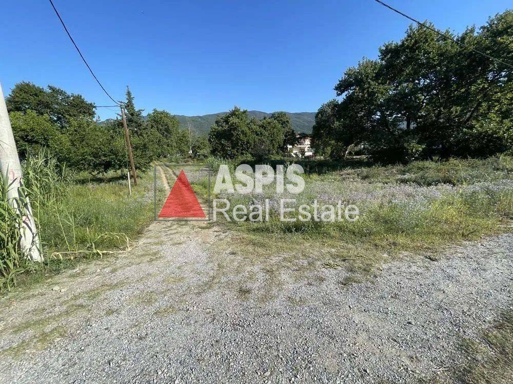 Εξωτερικοι χώροι