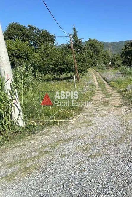 Εξωτερικοι χώροι