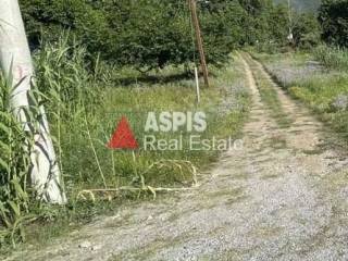 Εξωτερικοι χώροι