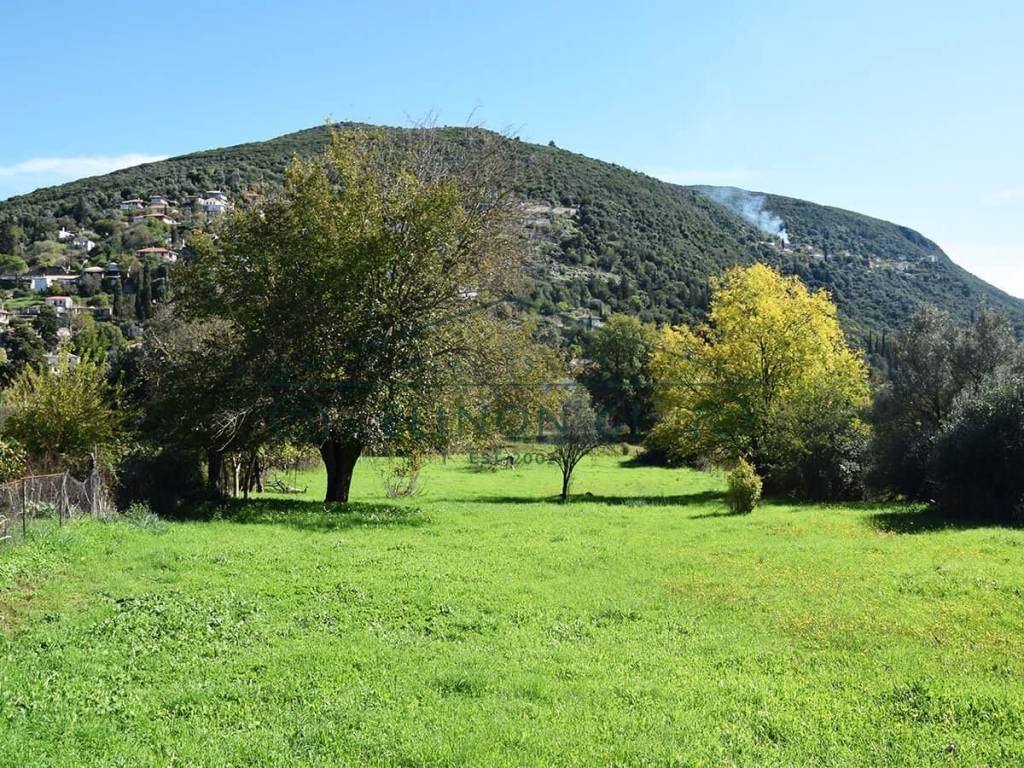 Το επίπεδο αγροτεμάχιο