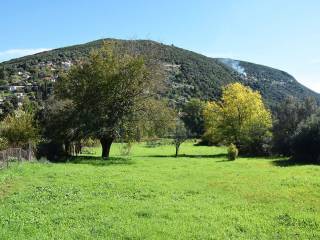 Το επίπεδο αγροτεμάχιο