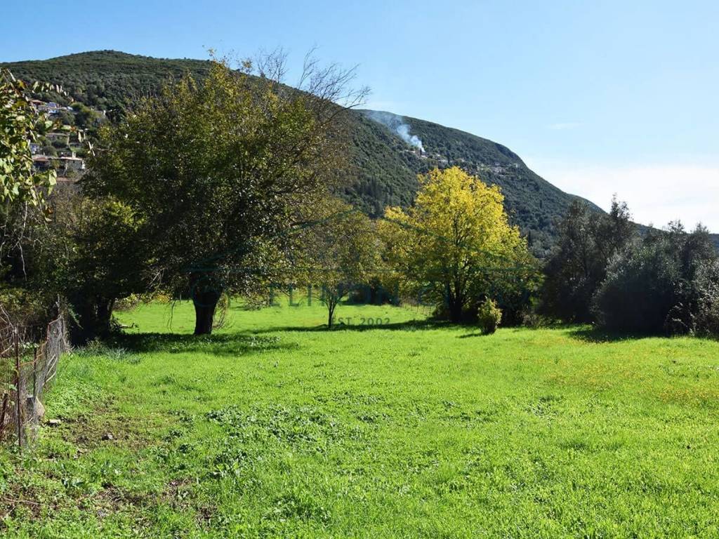 Το επίπεδο αγροτεμάχιο