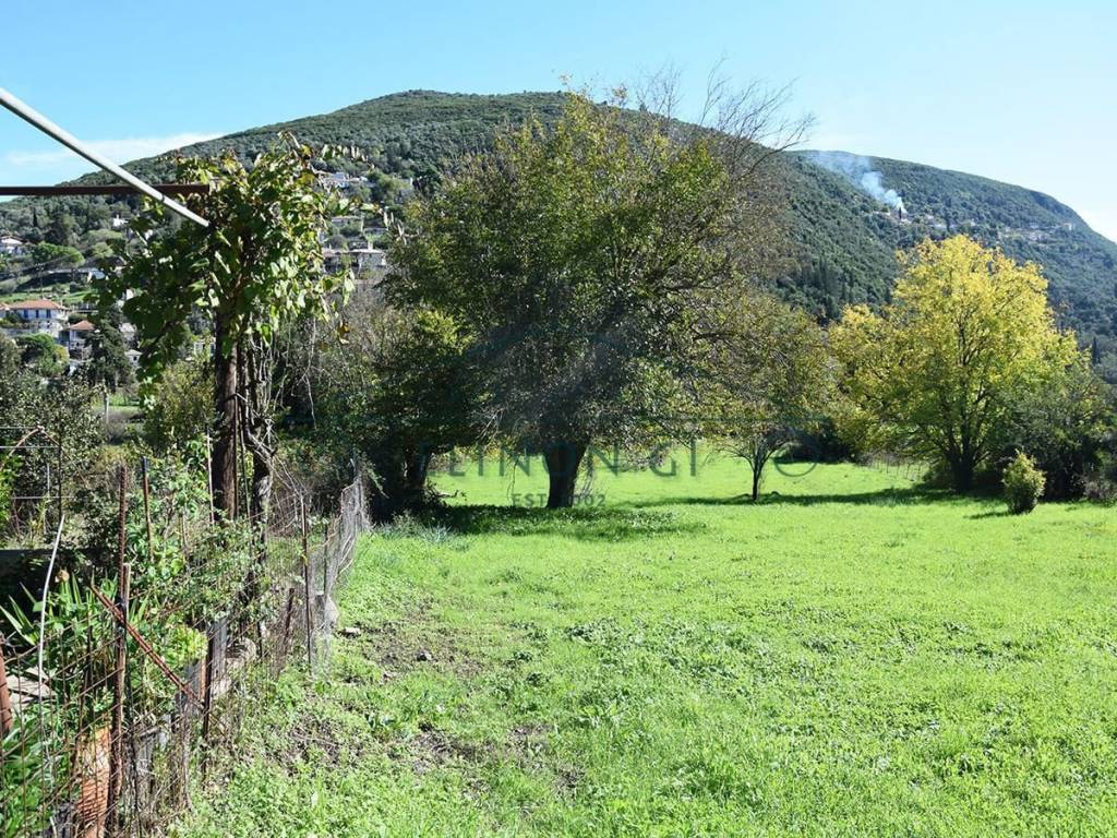 Το επίπεδο αγροτεμάχιο