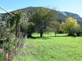 Το επίπεδο αγροτεμάχιο