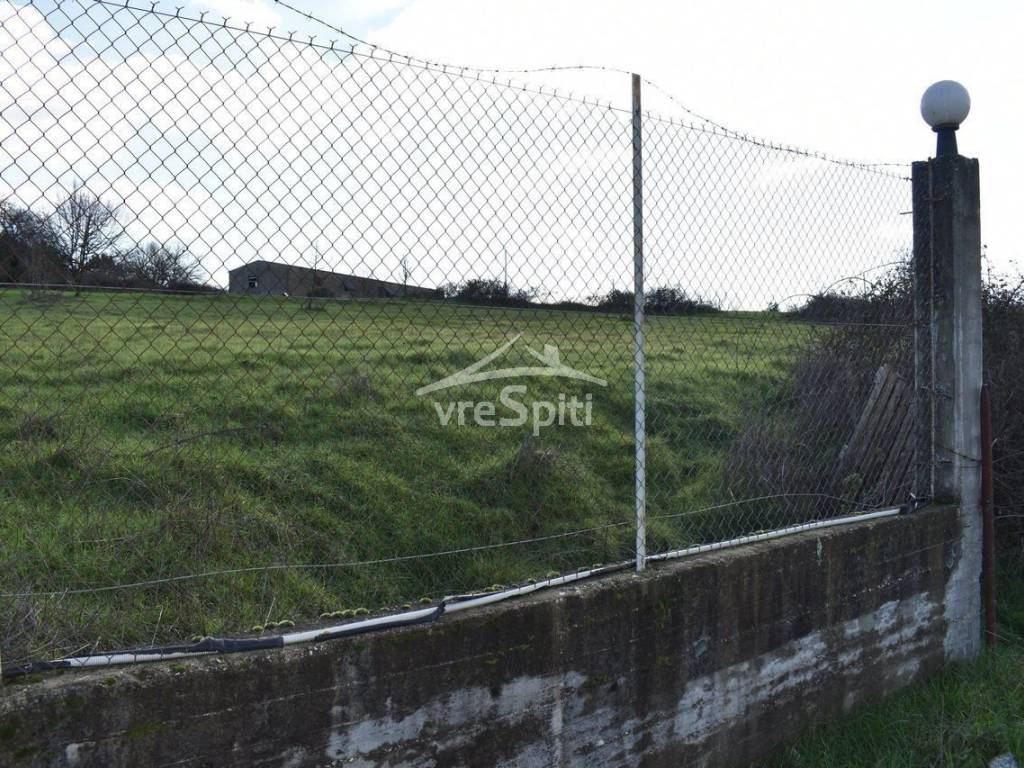 ΑΠΟΨΗ ΑΓΡΟΤΕΜΑΧΙΟΥ