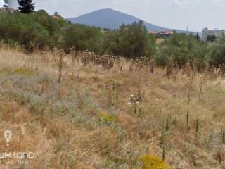 Forumland Real Estate, Αγροτεμάχιο