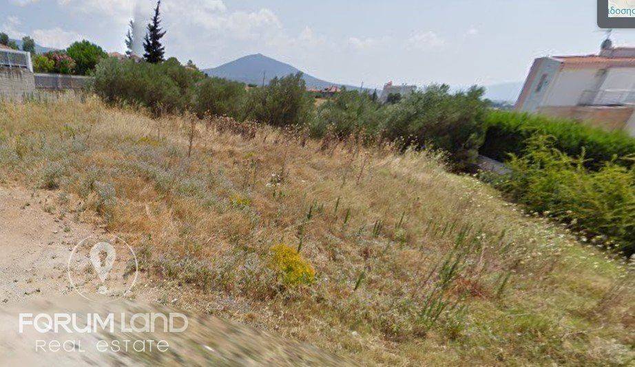 Forumland Real Estate, Αγροτεμάχιο