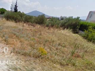 Forumland Real Estate, Αγροτεμάχιο