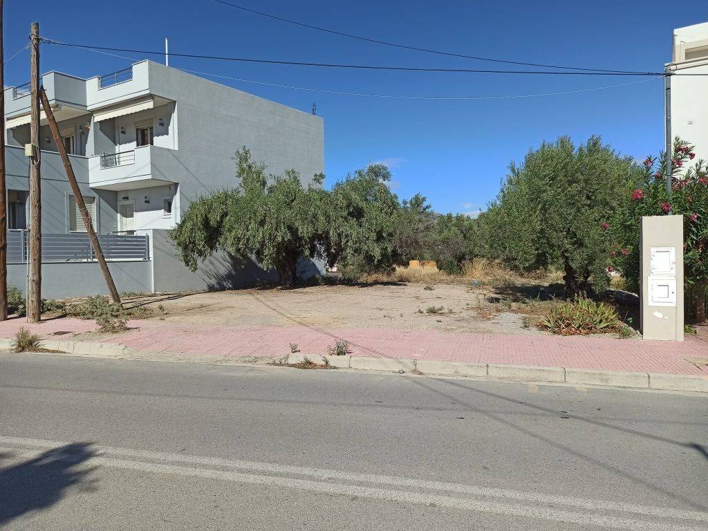 PROSOPSE 13 m. SE ASPHALTOSTROMENE ODO