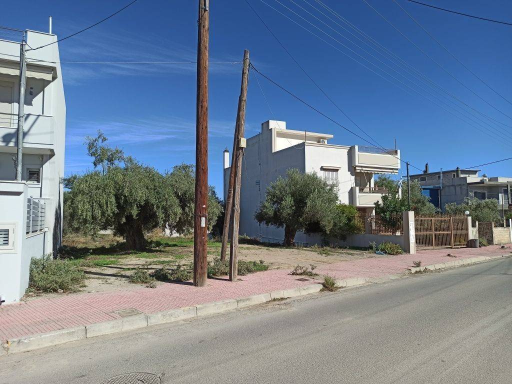 PROSOPSE 13 m. SE ASPHALTOSTROMENE ODO