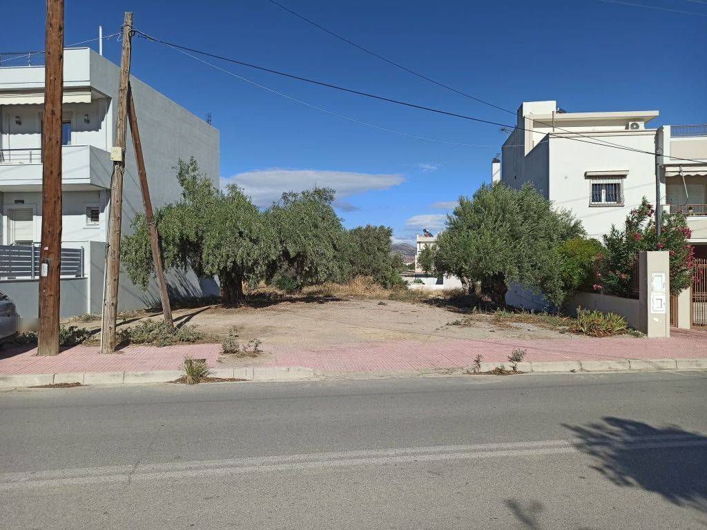 PROSOPSE 13 m. SE ASPHALTOSTROMENE ODO