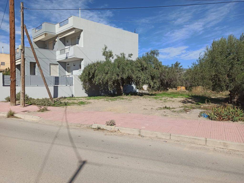 PROSOPSE 13 m. SE ASPHALTOSTROMENE ODO