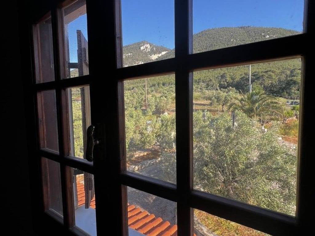 Detached - Grekodom 64476|1018272