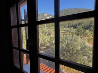 Detached - Grekodom 64476|1018272